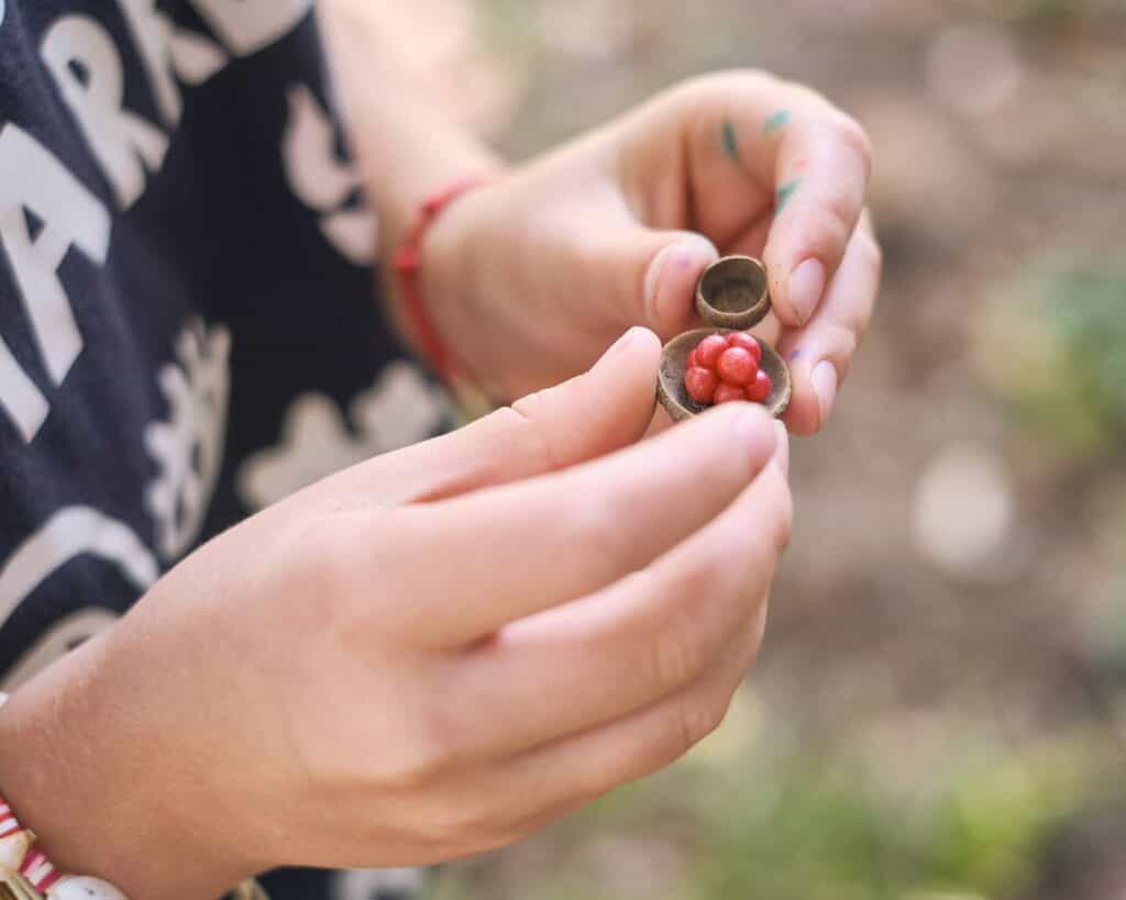 Tajno šumsko društvo · fotografija: darkomares.com